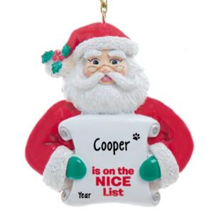 Pet Is On The NICE List Scroll Funny Personalized Ornament