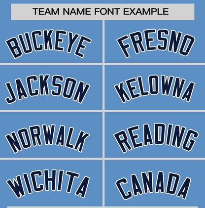 Custom Light Blue Navy T-shirt Classic Style Stripe Fashion Sports Shirt for Youth & Adults