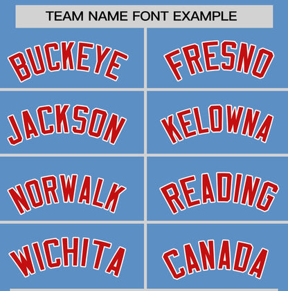 Custom Light Blue Red T-shirt Classic Style Stripe Fashion Sports Shirt for Youth & Adults