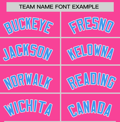 Custom Pink Powder Blue T-shirt Classic Style Stripe Fashion Sports Shirt for Youth & Adults