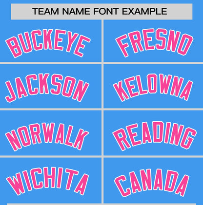 Custom Powder Blue Pink T-shirt Classic Style Stripe Fashion Sports Shirt for Youth & Adults
