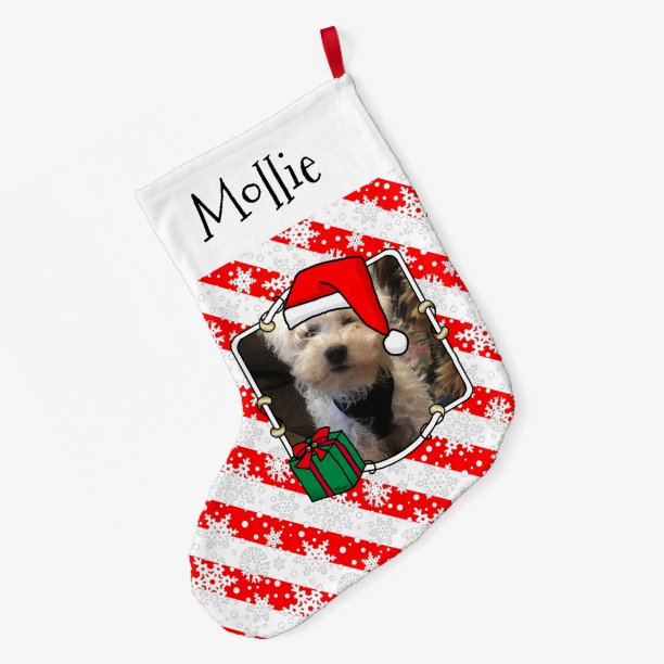Custom Photo Christmas Santa Hat Pet HO HO HO Large Christmas Stocking