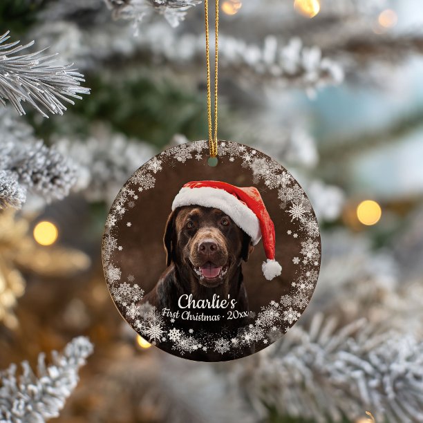 Cute Dog Puppy Pet First Christmas Photo Snowflake Ceramic Ornament