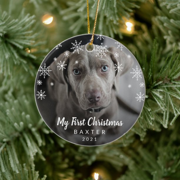 Cute Snowflakes Photo Dog My First Christmas Ceramic Ornament