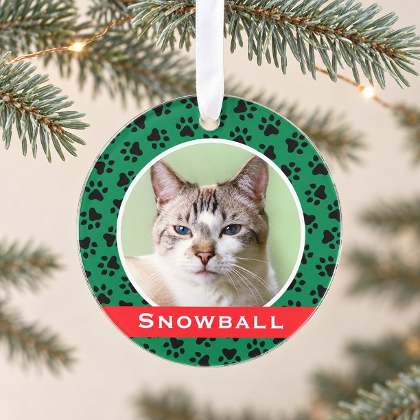 Green Pet Paw Prints Personalized Cat Name Photo Ornament