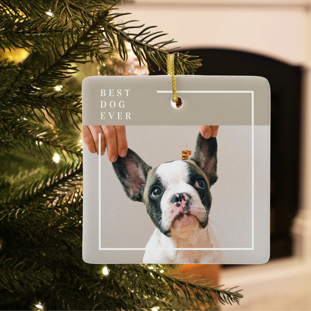 Modern Dog Photo Best Dog Ever Beige Ceramic Ornament