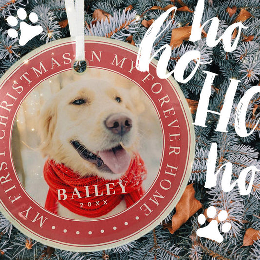 My First Christmas Forever Home Modern Pet Photo Glass Ornament