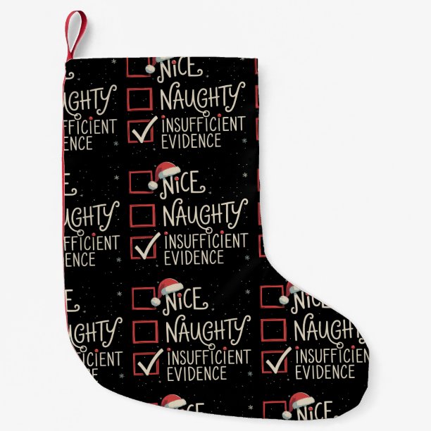 Nice Naughty Insufficient Evidence Christmas Santa Small Christmas Stocking