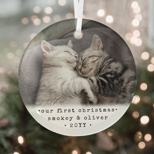 Our First Christmas 2 Cats or Any Pet Simple Photo Glass Ornament