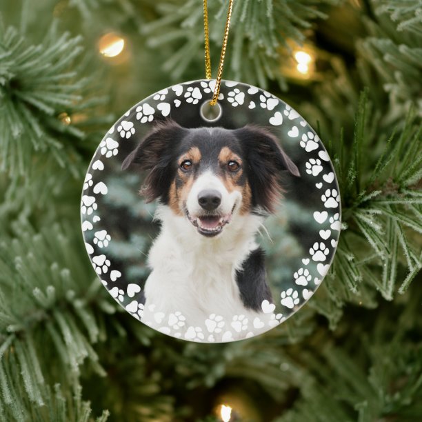 Paw Prints and Hearts Frame Custom Pet Photo Ceramic Ornament
