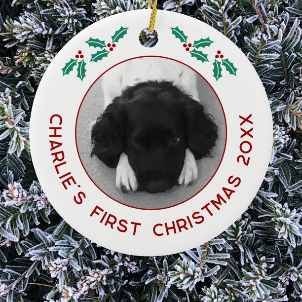 Personalized Pet Puppy Dog First Christmas Photo Ceramic Ornament