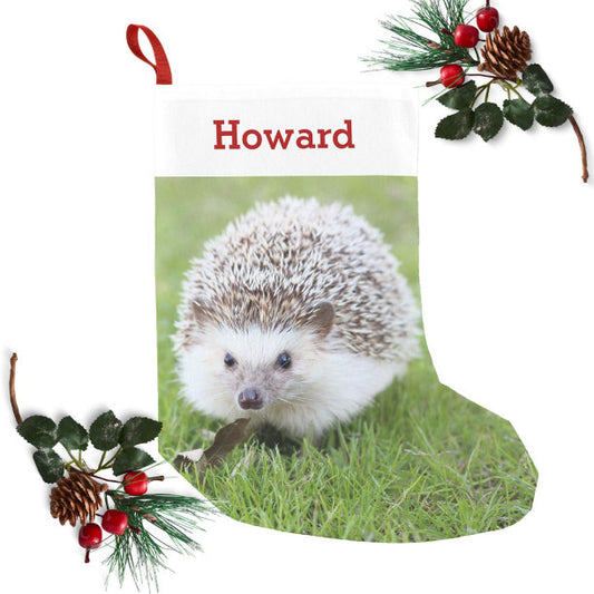 Pet Hedgehog Lover Owner Photo & Name Personalized Small Christmas Stocking