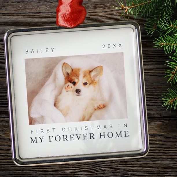 Pet's First Christmas In Forever Home Modern Chic Metal Ornament