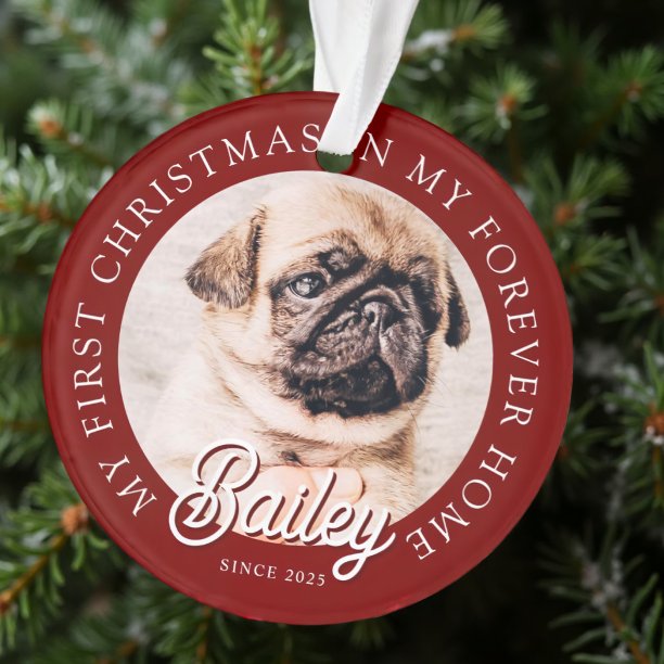Pet's My First Christmas In Forever Home Modern Ornament