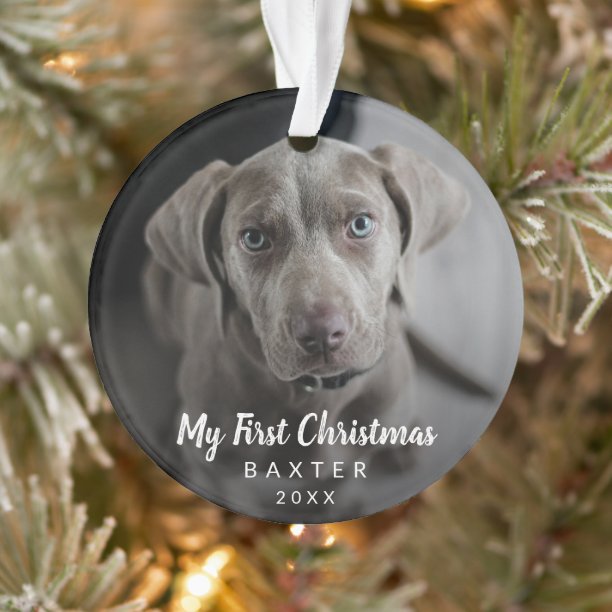 Simple Cute Modern Dog Photo My First Christmas Ornament